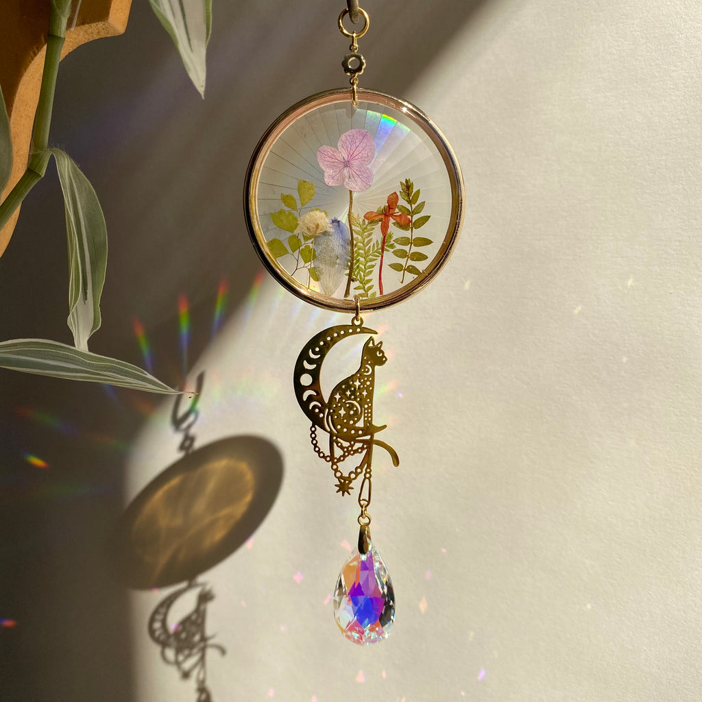 MINI AURORA
